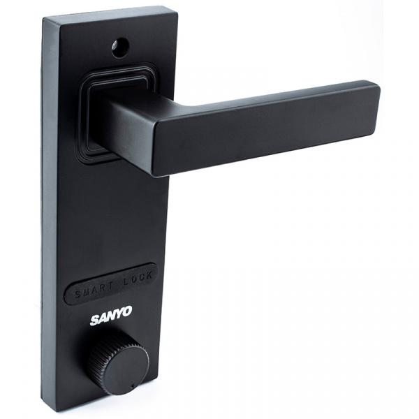 Sanyo D620 Usmart АВТОМАТИЧЕСКИЙ ЭЛЕКТРОННЫЙ ЗАМОК СО СКАНОМ ЛИЦА (Face ID)